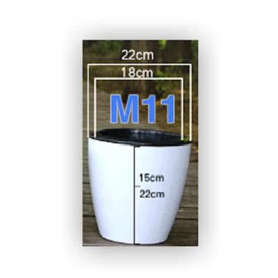 Магична Саксија - M11